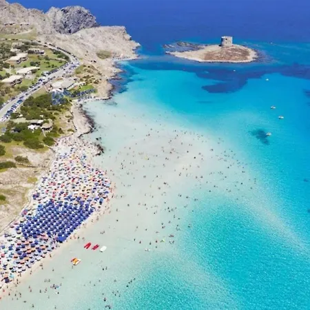 Apartment Just Steps Away From Cala Lupo