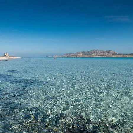 Just Steps Away From Cala Lupo Apartment